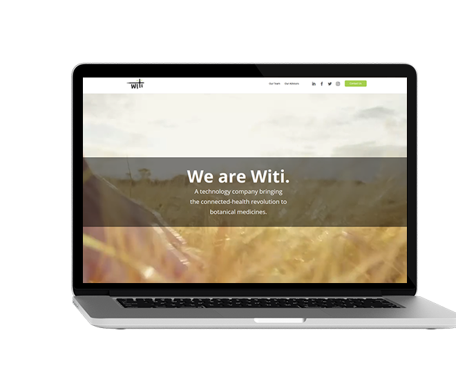 Witi Website Mockup