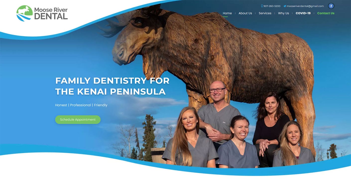 Moose River Dental Website Snippet