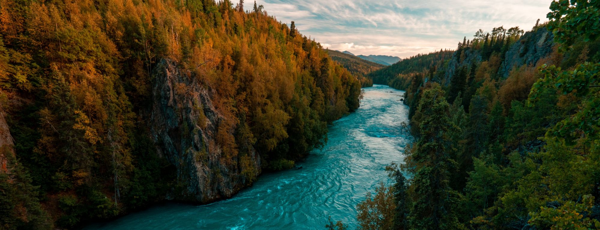 The turquoise Kenai River running through a forested canyon in autumn colours, with mountains under a cloudy sky in the distance